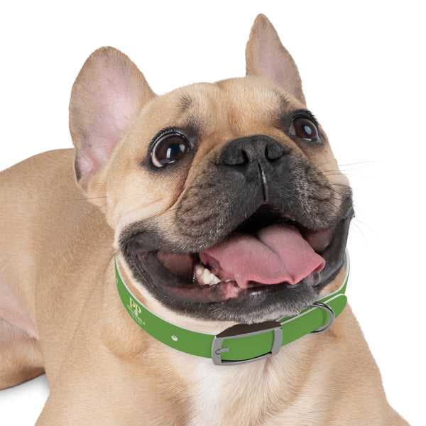 Aria Dog Collar