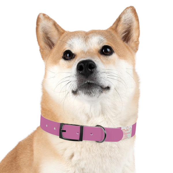 Aria Pink Dog Collar — "PRIZZYPBELA Couture" Fashion Collar