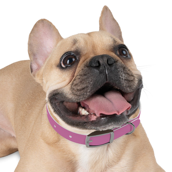 Aria Pink Dog Collar — "PRIZZYPBELA Couture" Fashion Collar